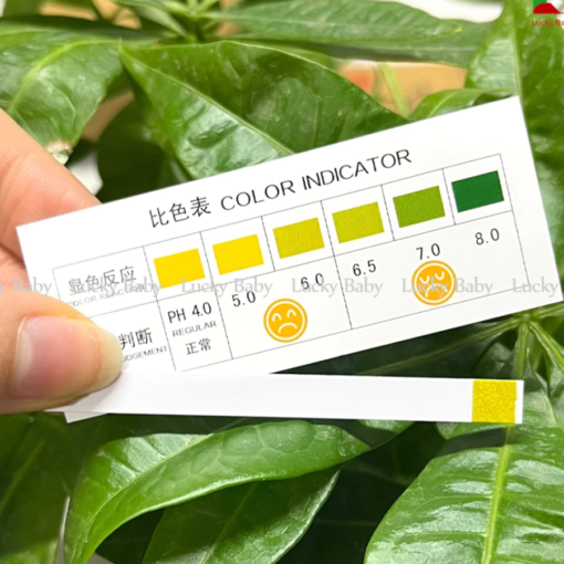 Que Thử Nồng Độ Kiềm, Acid Cơ Thể, Tinh Dịch và Dịch Âm Đạo - Ảnh 4