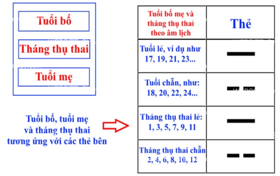 Cách tính sinh con trai theo bát quái