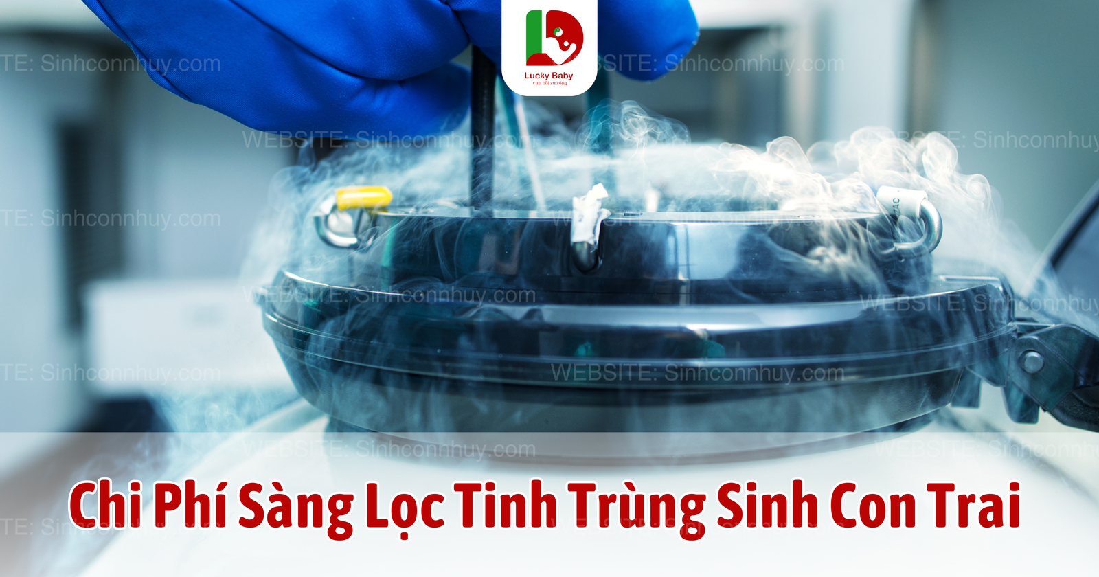 Chi Phí Sàng Lọc Tinh Trùng Sinh Con Trai