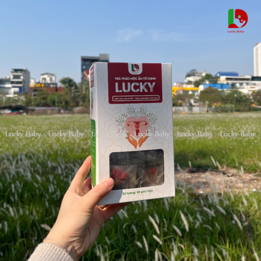 Trà Thảo Mộc Lucky - Làm Ấm Tử Cung, Điều Hòa Khí Huyết, Tăng Khả Năng Thụ Thai - Ảnh 4