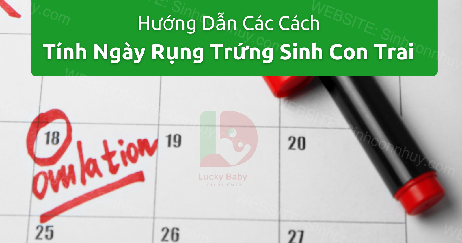 Hướng Dẫn Các Cách Tính Ngày Rụng Trứng Sinh Con Trai