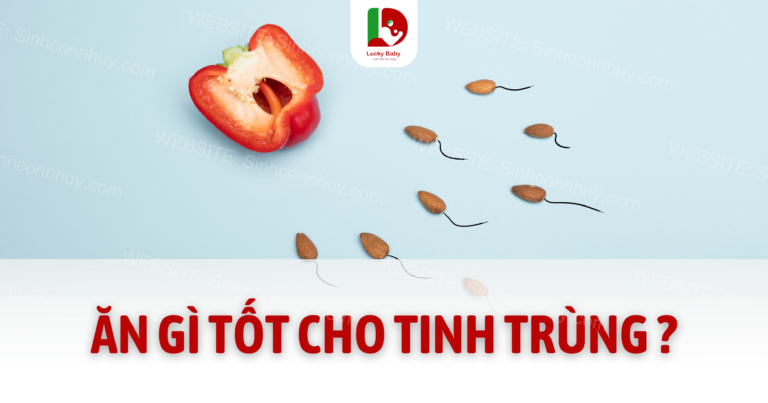 UỐNG SỮA GÌ TỐT CHO TINH TRÙNG
