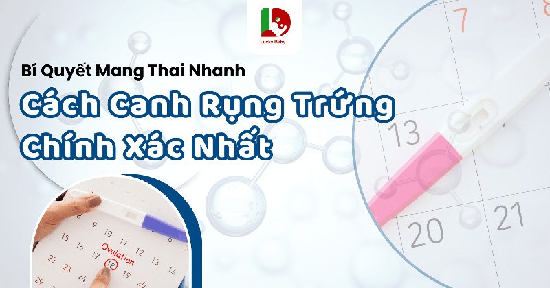 Cách Canh Rụng Trứng: 5 Bí Quyết Chính Xác Giúp Mang Thai Nhanh