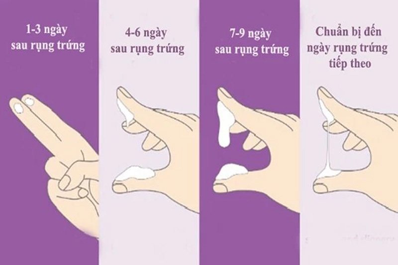 Cách đo ngày rụng trứng thông qua dịch nhầy cổ tử cung