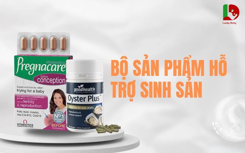 Chế độ dinh dưỡng tăng khả năng thụ thai