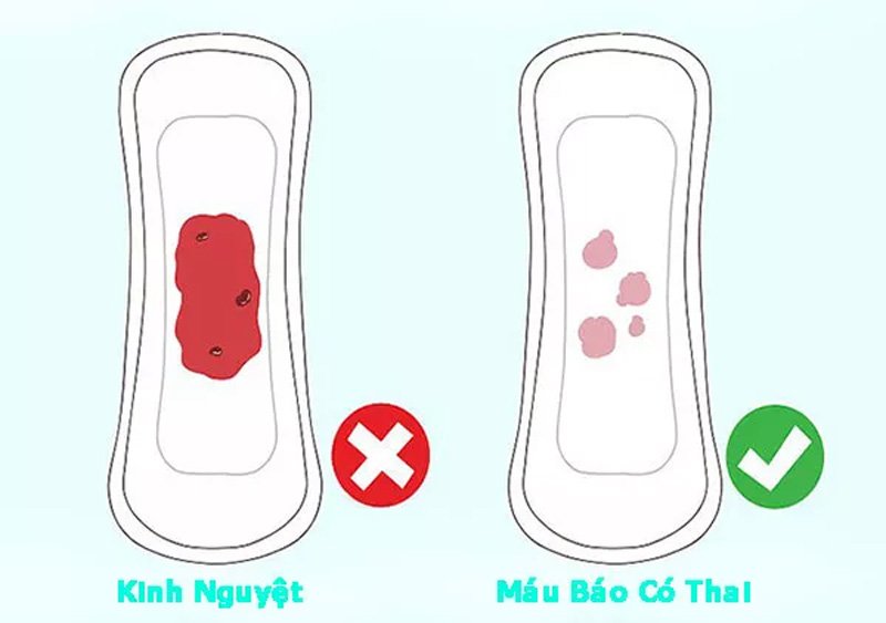 Dấu hiệu những ngày đầu thụ thai qua máu báo thai