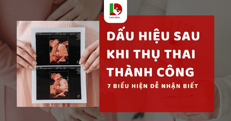 Dấu Hiệu Sau Khi Thụ Thai Thành Công: 7 Biểu Hiện Phổ Biến