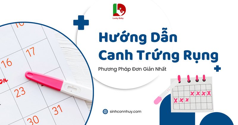 Hướng Dẫn Canh Trứng: 5 Phương Pháp Tính Ngày Rụng Hiệu Quả