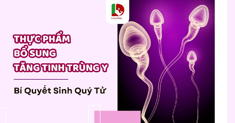 Tăng Tinh Trùng Y: 7 Thực Phẩm Bổ Sung Giúp Sinh Quý Tử