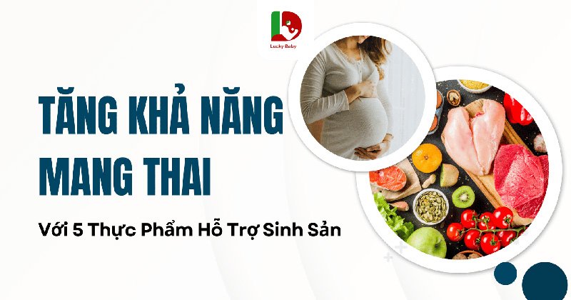 Thực Phẩm Hỗ Trợ Sinh Sản: 5 Gợi Ý Giúp Tăng Khả Năng Mang Thai