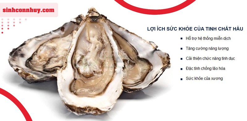 Tinh chất hàu Úc Oyster Plus Zinc