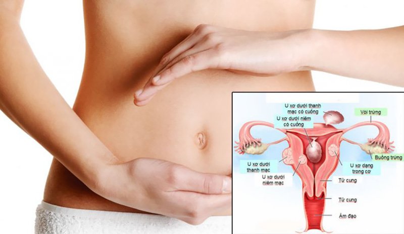 Trứng sau khi thụ tinh