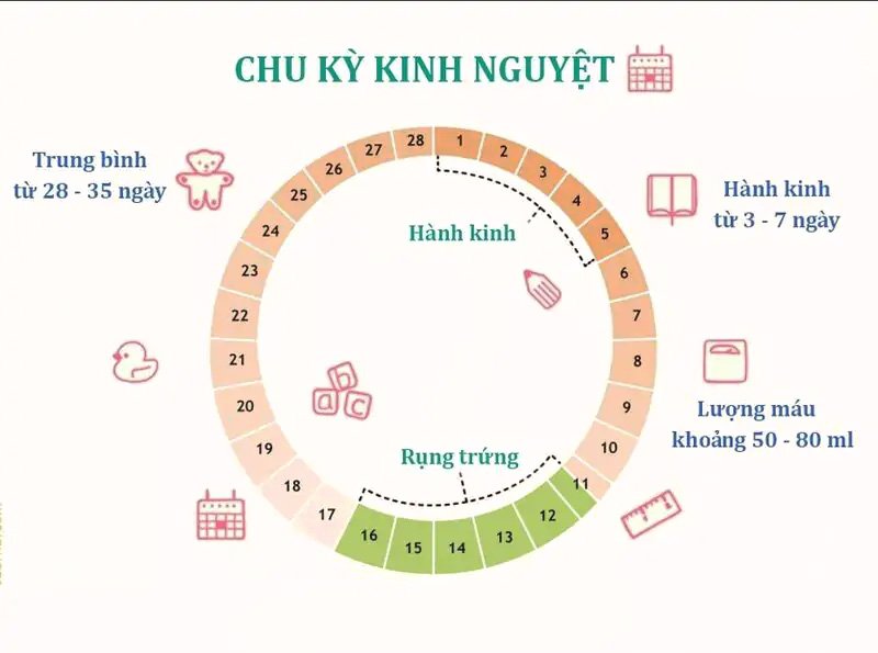 Các ngày rụng trứng, phụ nữ ngày rụng trứng