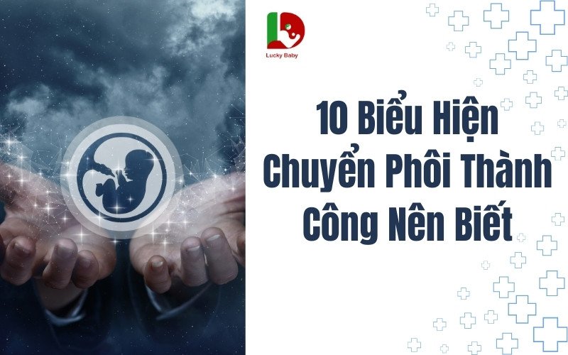 10 Biểu Hiện Chuyển Phôi Thành Công Nên Biết