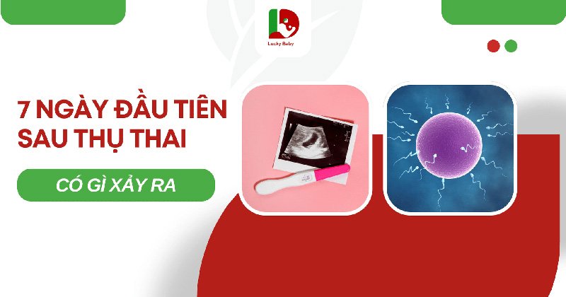Dấu Hiệu Thụ Thai Tuần Đầu: 7 Ngày Đầu Có Gì Thay Đổi?