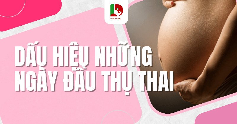 Dấu Hiệu Những Ngày Đầu Thụ Thai Và Cách Nhận Biết Chính Xác