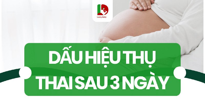 Dấu Hiệu Thụ Thai Sau 3 Ngày: Hiểu Đúng Qua 5 Dấu Hiệu
