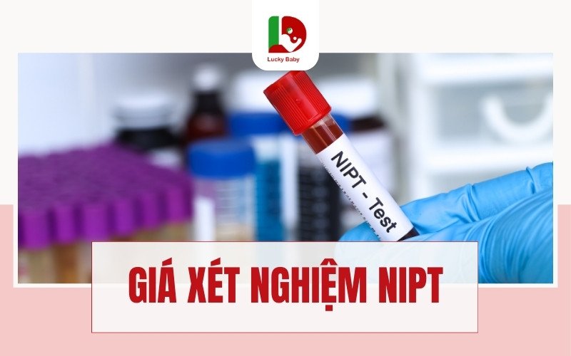 Giá Xét Nghiệm NIPT: 3 Điều Bạn Cần Biết Về Chi Phí Và Lợi Ích