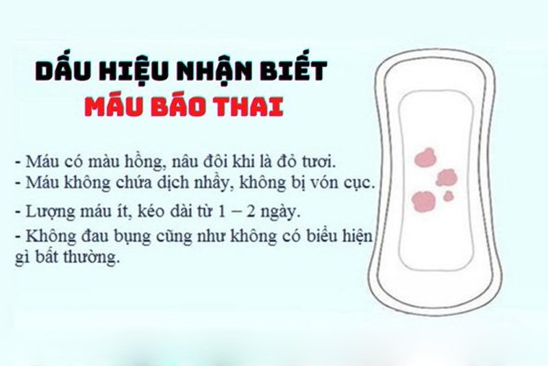 dấu hiệu trứng thụ thai, máu báo thai