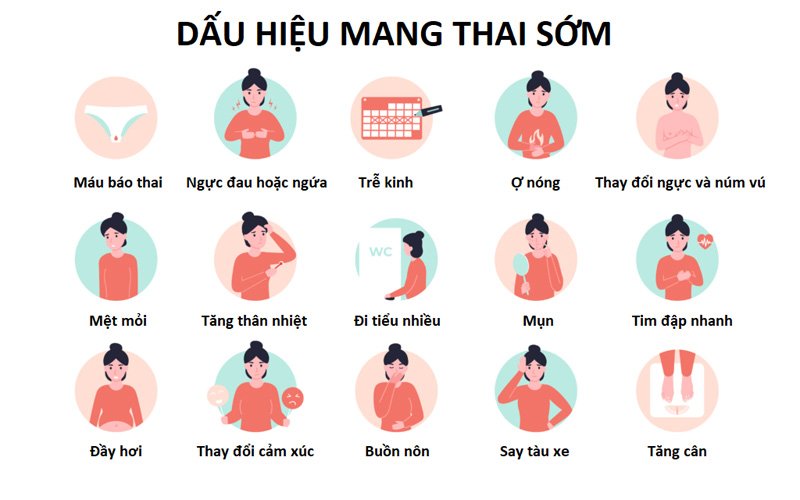 Những dấu hiệu có em bé sớm nhất, hiện tượng có em bé trong 10 ngày đầu