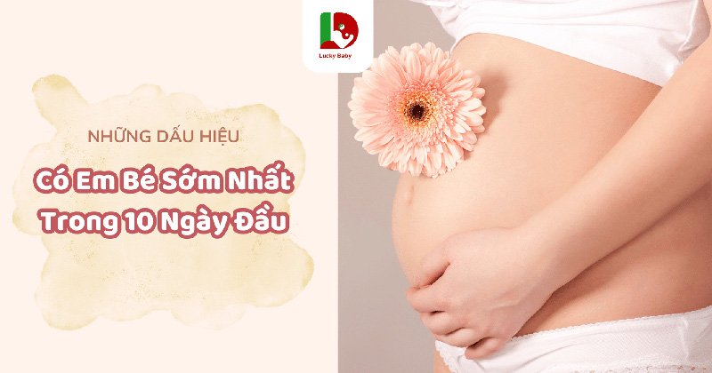 Những Dấu Hiệu Có Em Bé Sơm Nhất Trong 10 Ngày Đầu