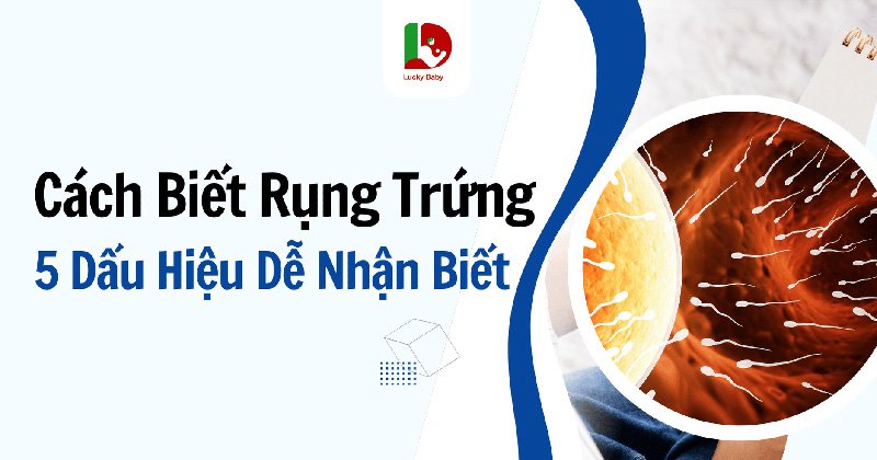 Cách Biết Rụng Trứng: 5 Dấu Hiệu Dễ Nhận Biết