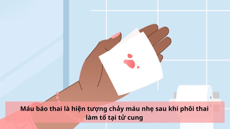 dấu hiệu trứng thụ thai, máu báo thai