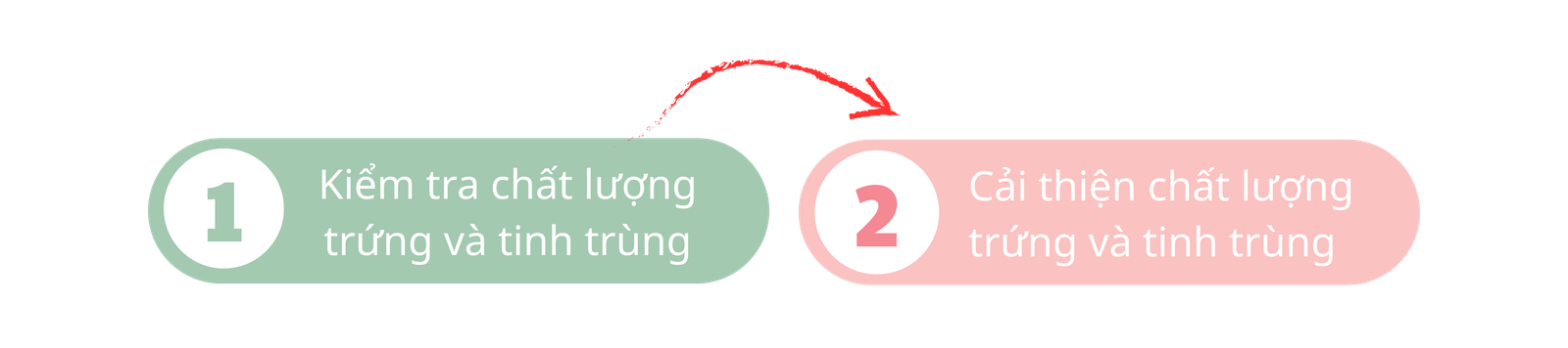 Các bước sinh con trai