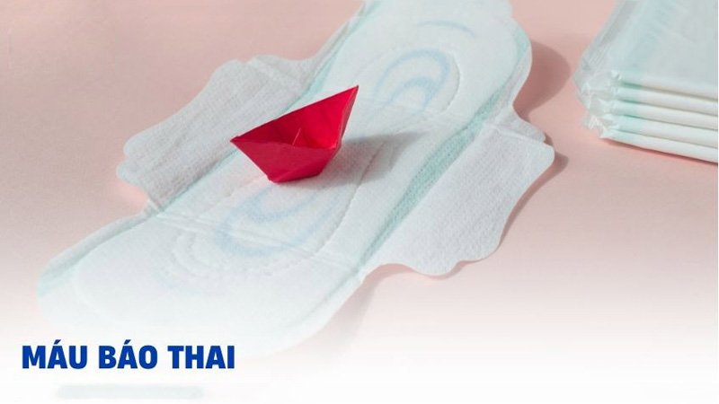 dấu hiệu đang thụ thai, máu báo thai