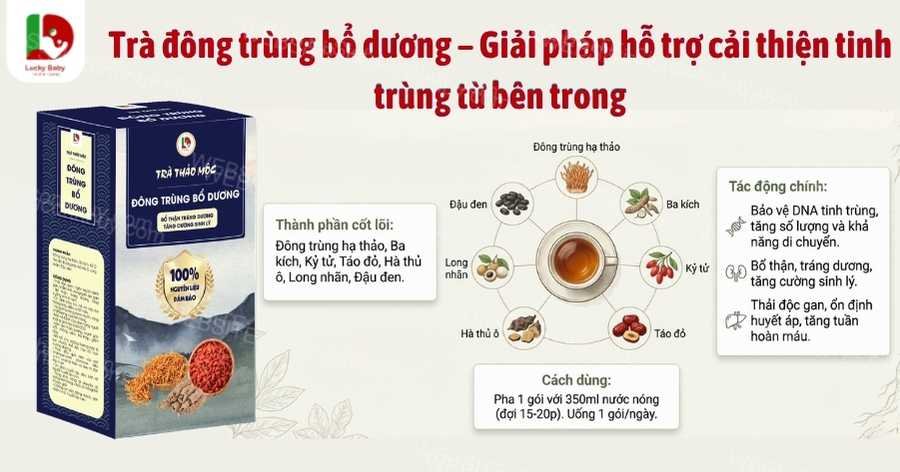 Trà đông trùng bổ dương – Giải pháp hỗ trợ cải thiện tinh trùng từ bên trong