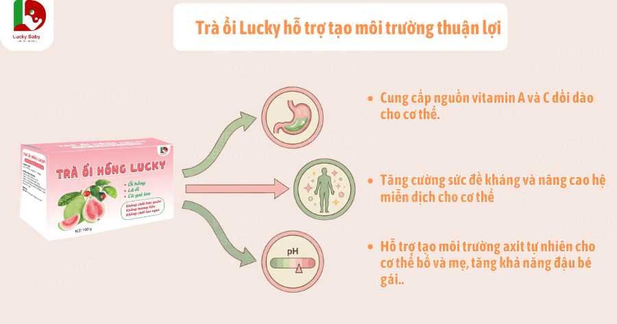 Trà ổi Lucky hỗ trợ tạo môi trường thuận lợi
