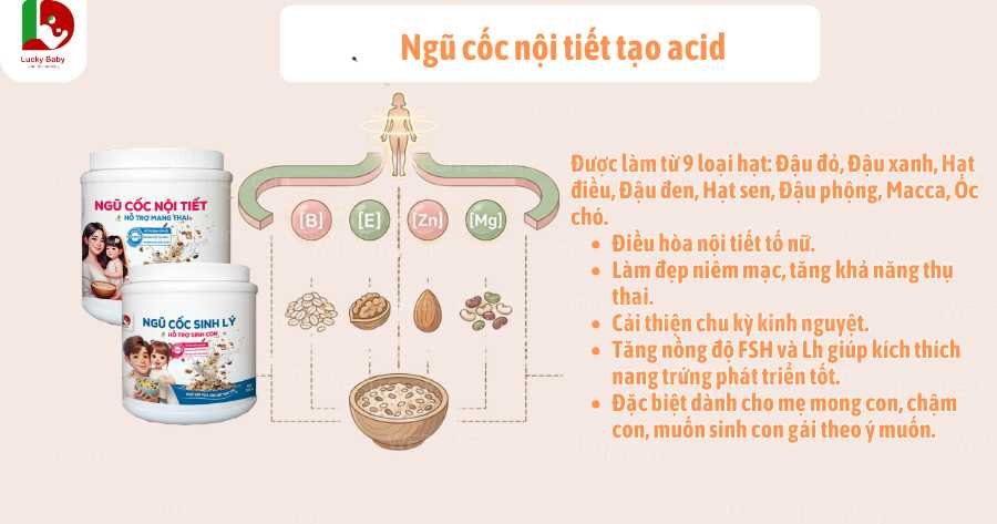 Ngũ cốc nội tiết tạo acid