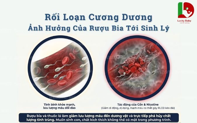 Ảnh minh họa : Cách cải thiện rối loạn cương dương