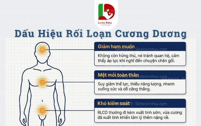 Ảnh minh họa : Rối Loạn Cương Dương