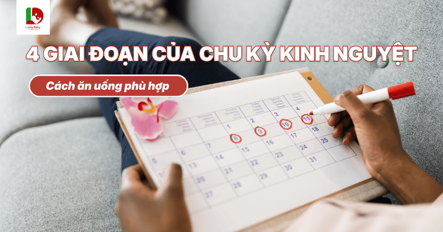 4 giai đoạn của chu kỳ kinh nguyệt và cách ăn uống phù hợp