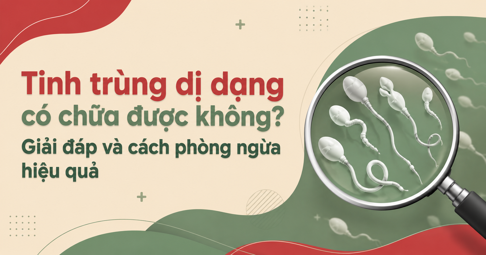 Tinh trùng dị dạng có chữa được không
